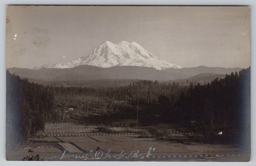 1910s rppc eatonville - rppc, eatonville,